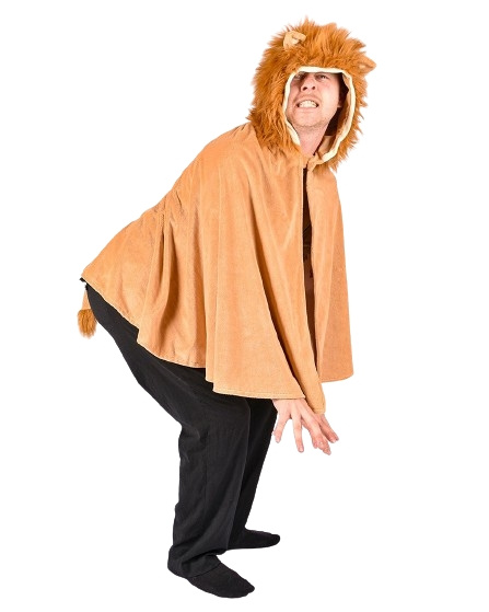 Den Goda Fen Lion Cape (F99170) in the group TOYS, KIDS & BABY PRODUCTS / Toys / Masquerade costumes at TP E-commerce Nordic AB (C88829)