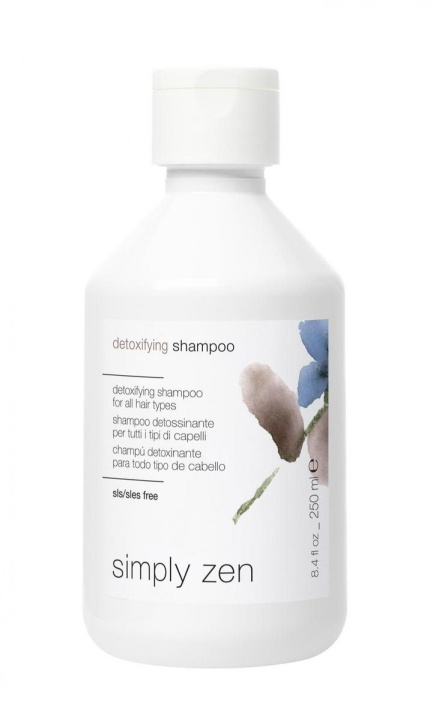 Simply Zen Detoxifying Shampoo 250 ml in the group BEAUTY & HEALTH / Hair & Styling / Hair care / Schampoo at TP E-commerce Nordic AB (C89221)