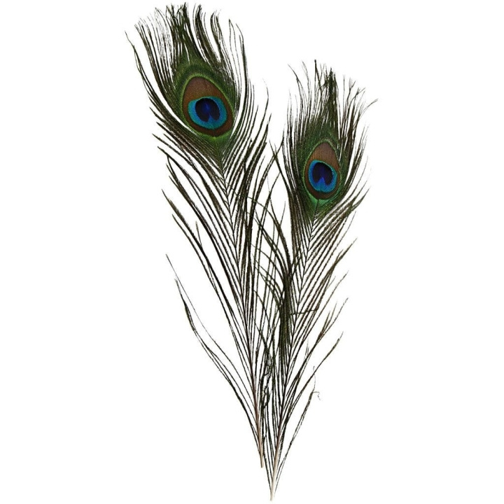 DIY Kit Peacock feathers 10pc (51810) in the group Sport, leisure & Hobby / Hobby / DIY Kit at TP E-commerce Nordic AB (C89354)