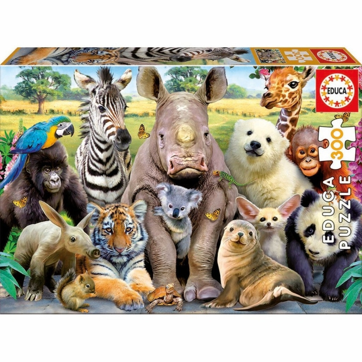 Educa 300 pcs - Class Photo Puzzle (80-15908) in the group TOYS, KIDS & BABY PRODUCTS / Toys / Kids puzzle at TP E-commerce Nordic AB (C89901)