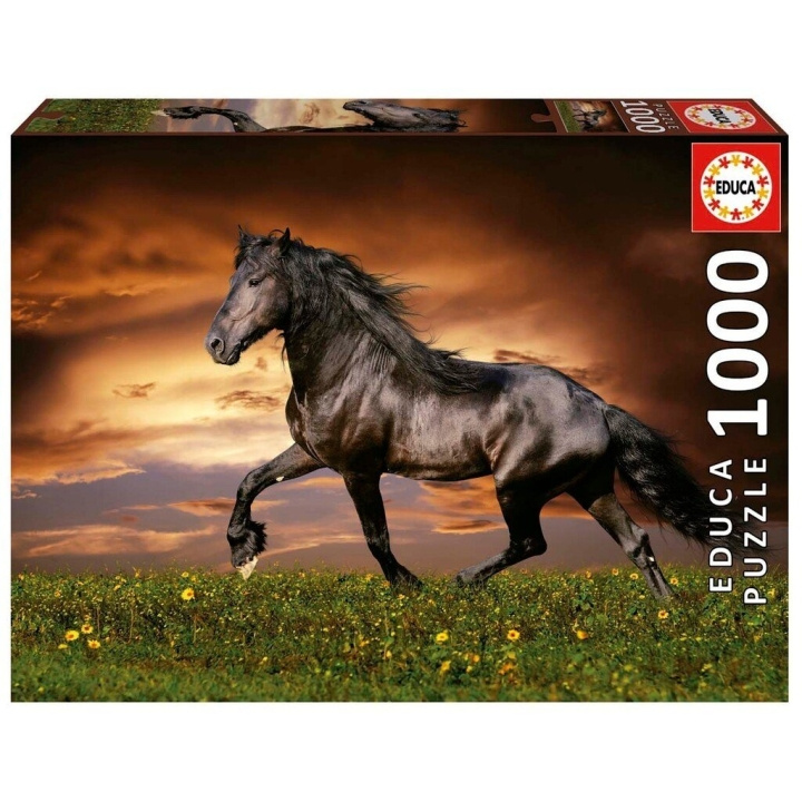 Educa 1000 pcs - Trotting Horse Puzzle (80-19555) in the group Sport, leisure & Hobby / Hobby / Puzzle at TP E-commerce Nordic AB (C89915)