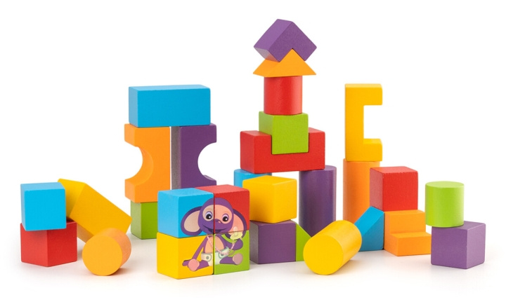 DR Fantus - Building blocks (30 pcs) (112062) in the group TOYS, KIDS & BABY PRODUCTS / Toys / Building toys / Toy blocks at TP E-commerce Nordic AB (C90380)