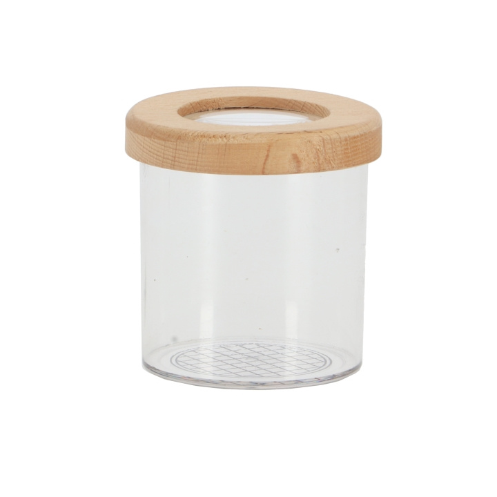 Gardenlife Insect study jar (KG228) in the group TOYS, KIDS & BABY PRODUCTS / Toys / Experiment & DIY at TP E-commerce Nordic AB (C90496)