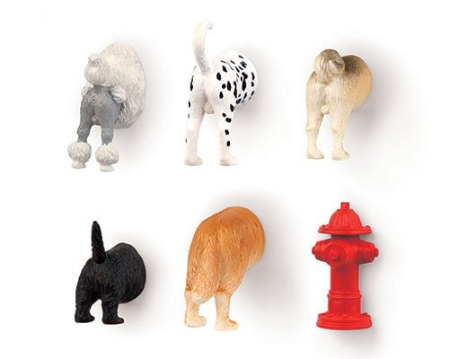 Kikkerland Dog Butt Magnets 6 Per Set in the group HOME, HOUSEHOLD & GARDEN / Kitchen utensils / Other kitchen tools at TP E-commerce Nordic AB (C92622)