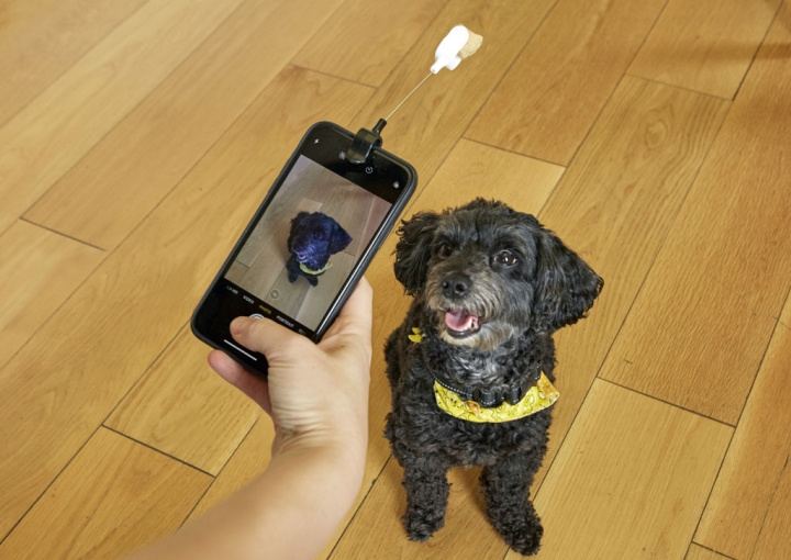 Kikkerland Dog Treat Selfie Clip (DIG01) in the group HOME, HOUSEHOLD & GARDEN / Pet Accessories / Dog at TP E-commerce Nordic AB (C92799)