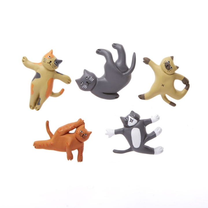 Kikkerland Cat Yoga Magnets (MG89) in the group HOME, HOUSEHOLD & GARDEN / Kitchen utensils / Other kitchen tools at TP E-commerce Nordic AB (C92838)