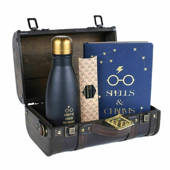 Harry Potter Trouble Finds Me Premium Gift Set (52235HPTRUNK) in the group Sport, leisure & Hobby / Fun stuff / Collector\'s items at TP E-commerce Nordic AB (C93654)