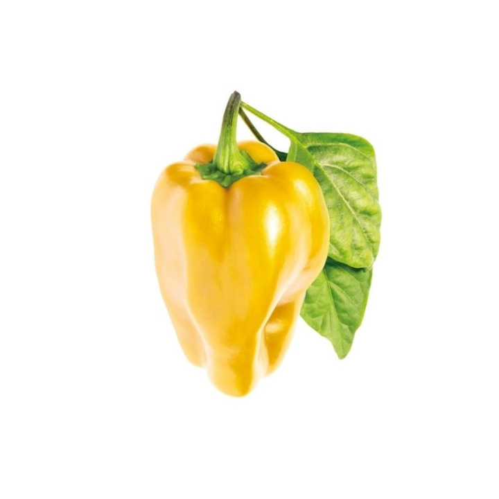 Click & Grow - Yellow Sweet Peppers (SGR53X3) in the group Sport, leisure & Hobby / Fun stuff / Smart home at TP E-commerce Nordic AB (C93769)