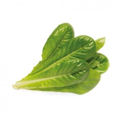 Click & Grow Smart Garden Refill 3-pack - Romaine Lettuce (SGR50X3) in the group Sport, leisure & Hobby / Fun stuff / Smart home at TP E-commerce Nordic AB (C93818)