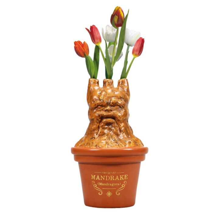 Harry Potter Mandrake Shaped Vase (5261TTVHP07) in the group Sport, leisure & Hobby / Fun stuff / Collector\'s items at TP E-commerce Nordic AB (C93856)