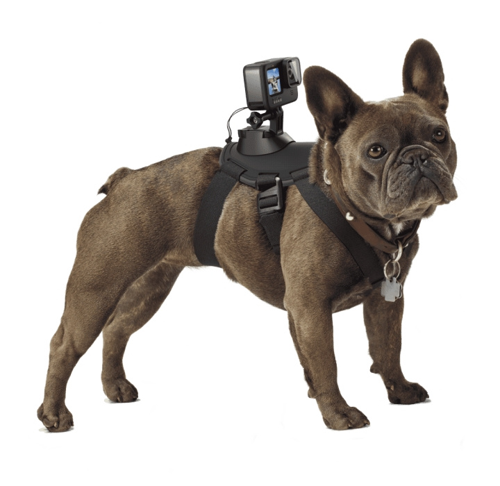 GoPro Fetch in the group Sport, leisure & Hobby / Action cameras & Accessories / Accessories for actioncameras at TP E-commerce Nordic AB (C94468)