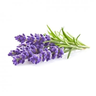 Click & Grow Smart Garden Refill 3-pack - Lavender (SGR30X3) in the group Sport, leisure & Hobby / Fun stuff / Smart home at TP E-commerce Nordic AB (C94570)