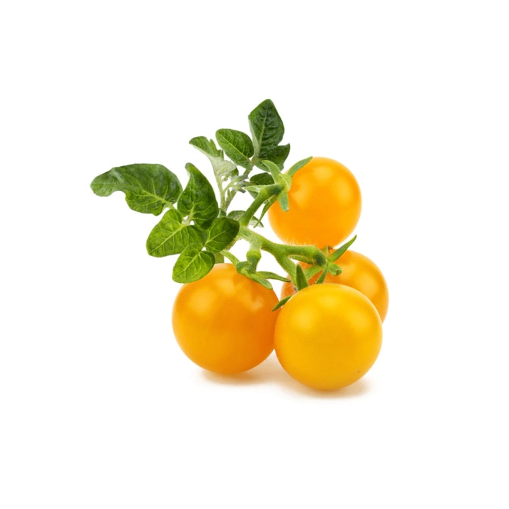 Click & Grow Smart Garden Refill 3-pack Yellow Tomato in the group Sport, leisure & Hobby / Fun stuff / Smart home at TP E-commerce Nordic AB (C94638)