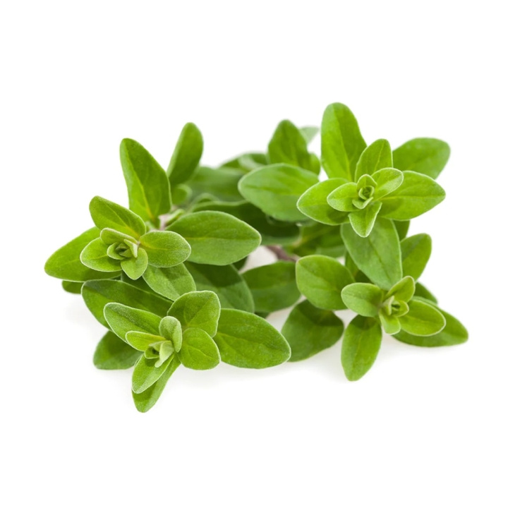 Click & Grow Smart Garden Refill 3-pack Marjoram in the group Sport, leisure & Hobby / Fun stuff / Smart home at TP E-commerce Nordic AB (C94639)