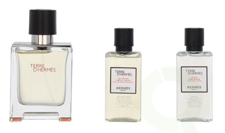 Hermes Terre D\'Hermes Giftset 130 ml Edt Spray 50ml/Shower Gel 40ml/Body Lotion 40ml in the group BEAUTY & HEALTH / Gift sets / Gift sets for him at TP E-commerce Nordic AB (C95005)