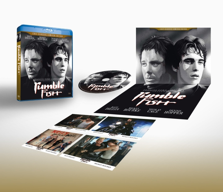 Rumble Fish Cult Classic Limited Edition in the group HOME ELECTRONICS / Audio & Picture / TV & Accessories / Movies / Blu-ray at TP E-commerce Nordic AB (C95245)