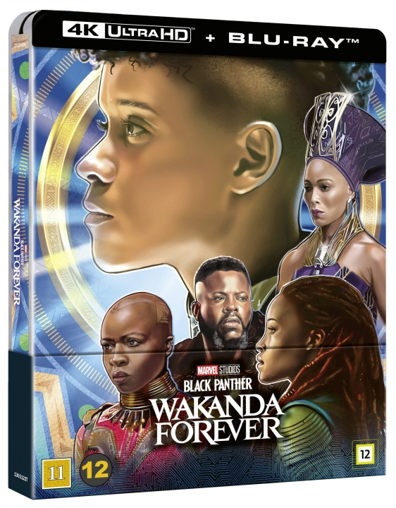 Black Panther: Wakanda Forever (Blu-ray) in the group HOME ELECTRONICS / Audio & Picture / TV & Accessories / Movies / Blu-ray at TP E-commerce Nordic AB (C95320)