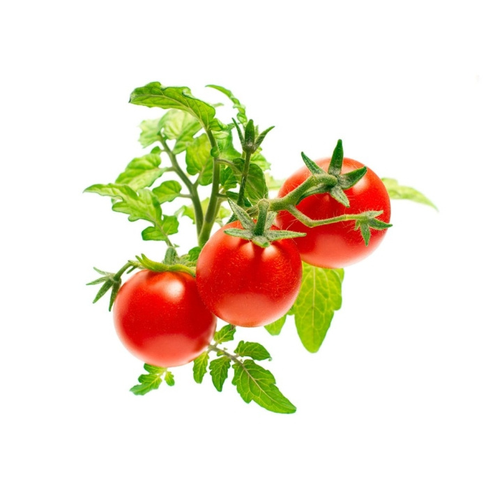 Click & Grow Smart Garden Refill 3-pack - Mini Tomato (SGR5X3) in the group Sport, leisure & Hobby / Fun stuff / Smart home at TP E-commerce Nordic AB (C96652)