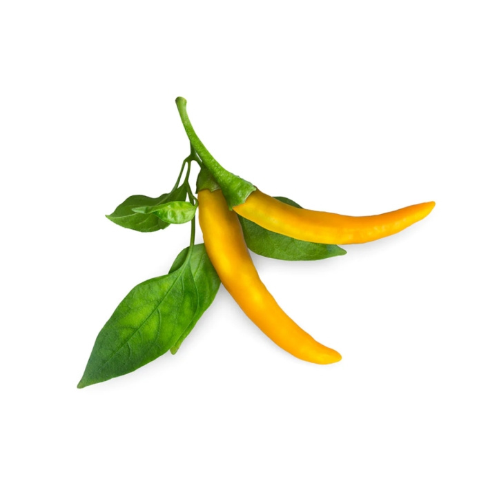 Click & Grow Smart Garden Refill 3-pack Yellow Chili Pepper in the group Sport, leisure & Hobby / Fun stuff / Smart home at TP E-commerce Nordic AB (C96683)