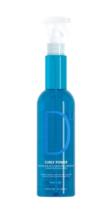 EVAN Curly Power Day After Curl Reactivator Lower Poo Spray 300 ml in the group BEAUTY & HEALTH / Hair & Styling / Hair styling / Styling cream at TP E-commerce Nordic AB (C96701)