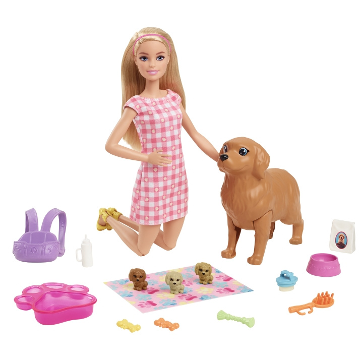 Barbie Doll and Newborn Pups Playset (HCK75) in the group TOYS, KIDS & BABY PRODUCTS / Toys / Docks & Accessories at TP E-commerce Nordic AB (C97101)