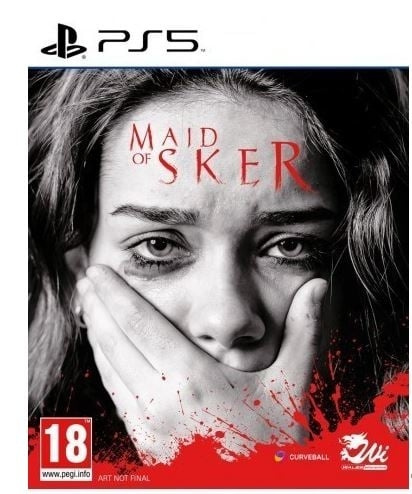 Maid of Sker (PS5) in the group HOME ELECTRONICS / Game consoles & Accessories / Sony PlayStation 5 / Games at TP E-commerce Nordic AB (C97283)