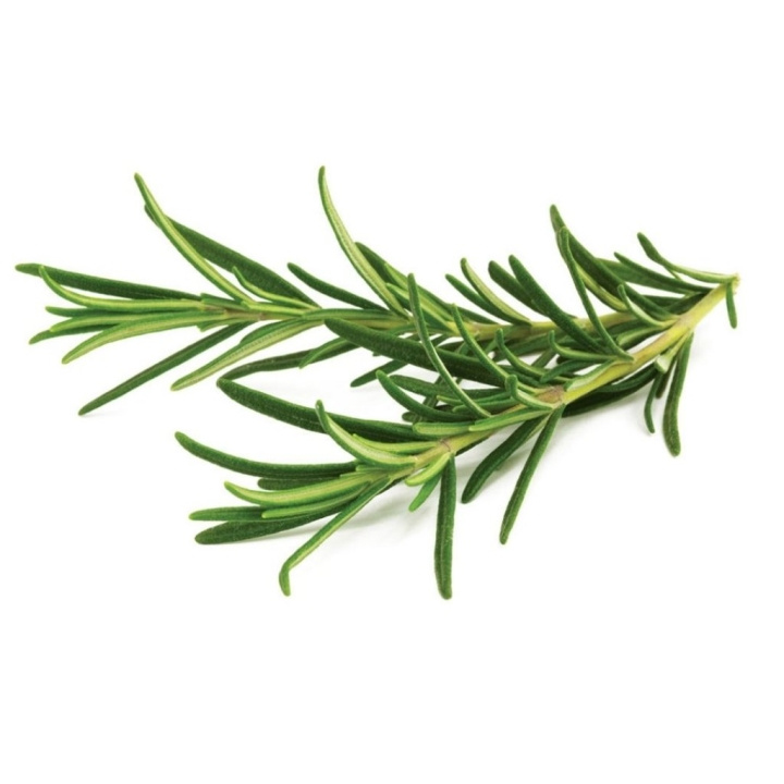 Click & Grow Smart Garden Refill 3-pack - Rosemary (SGR51X3) in the group Sport, leisure & Hobby / Fun stuff / Smart home at TP E-commerce Nordic AB (C97431)