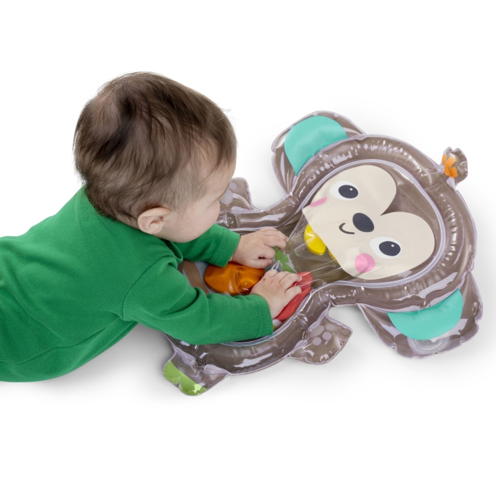 Bright Starts Hungry Monkey™ Tummy Time Water Mat - (BS-16755) in the group TOYS, KIDS & BABY PRODUCTS / Baby toys / Activity toys at TP E-commerce Nordic AB (C97493)