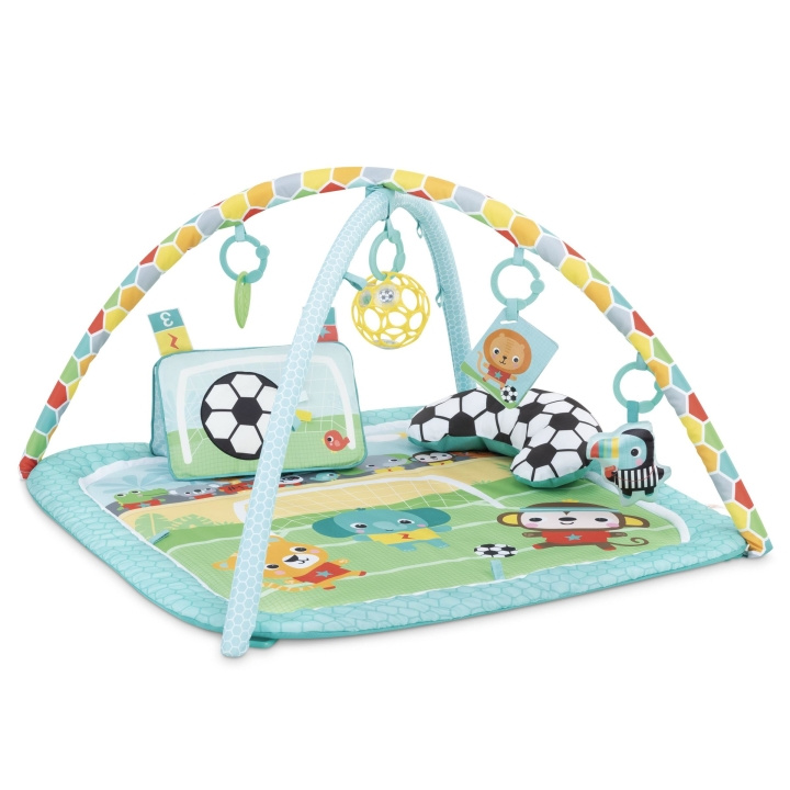 Bright Starts Grip & Kick™ Oball™ Activity Gym - (BS-17165) in the group TOYS, KIDS & BABY PRODUCTS / Baby toys / Activity toys at TP E-commerce Nordic AB (C97494)