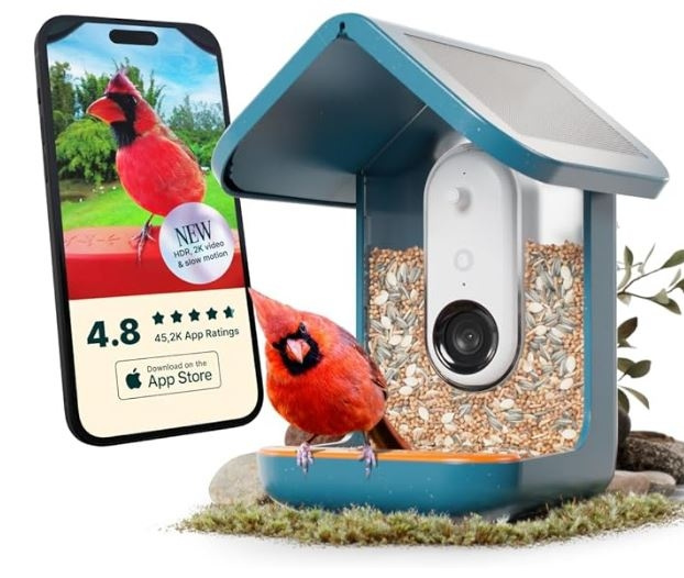 Birdbuddy Smart Bird Feeder 2.0 Blue with Solar Panel in the group Sport, leisure & Hobby / Fun stuff / Smart home at TP E-commerce Nordic AB (C98104)