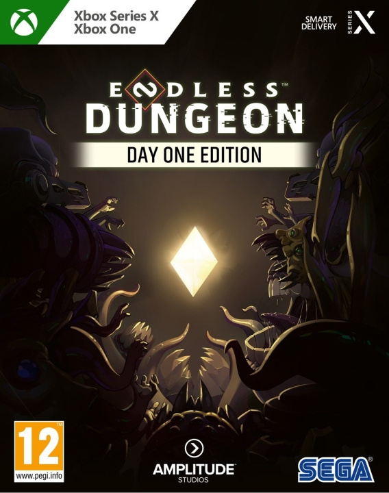 Endless Dungeon (Day One Edition) (XseriesX) in the group HOME ELECTRONICS / Game consoles & Accessories / Xbox Series X / Games at TP E-commerce Nordic AB (C98777)