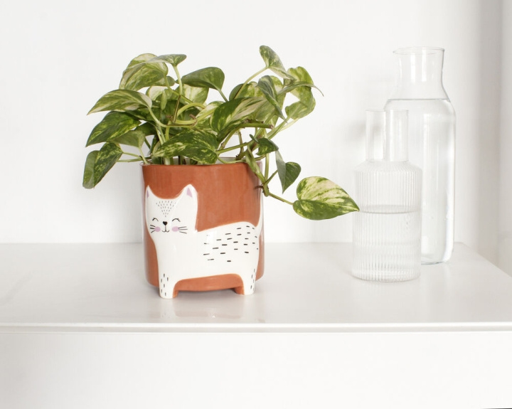 Winkee Flower pot bowl - Flower pot cat - 13 cm in the group Sport, leisure & Hobby / Fun stuff / Smart home at TP E-commerce Nordic AB (C98898)