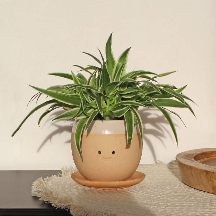 Winkee Crying Plant Pot - Planter in the group Sport, leisure & Hobby / Fun stuff / Smart home at TP E-commerce Nordic AB (C99139)