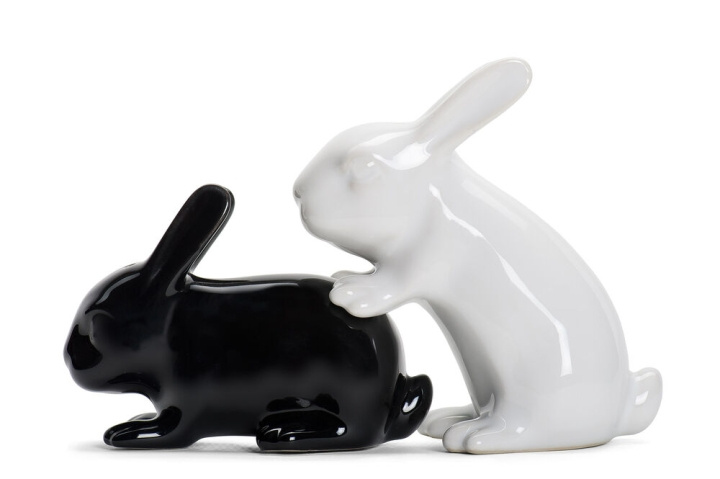 Winkee Bunny S+P Shakers - Salt and Pepper Dispenser in the group Sport, leisure & Hobby / Fun stuff / Smart home at TP E-commerce Nordic AB (C99293)