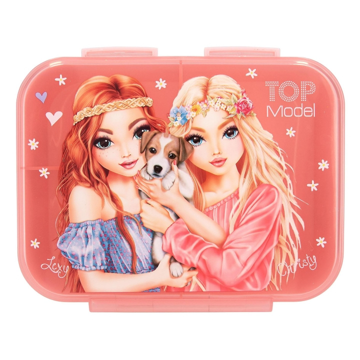 TOPModel Lunch Box VELO FLEUR (0412888) in the group TOYS, KIDS & BABY PRODUCTS / Eat & Drink / Children\'s tableware at TP E-commerce Nordic AB (C99329)