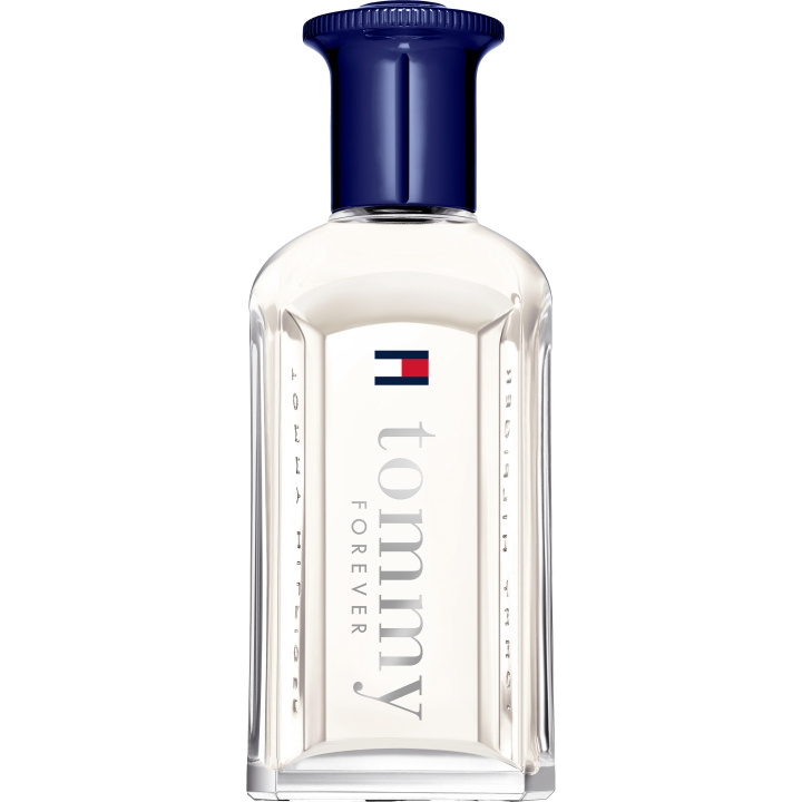 Tommy Hilfiger Tommy Forever EdT - 50 ml in the group BEAUTY & HEALTH / Fragrance & Perfume / Perfumes / Perfume for him at TP E-commerce Nordic AB (D01859)