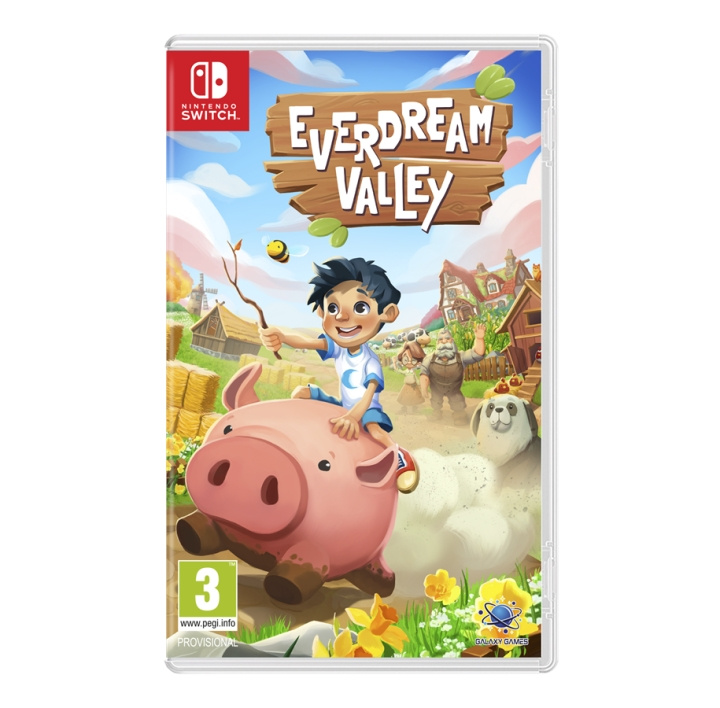 Everdream Valley (Switch) in the group HOME ELECTRONICS / Game consoles & Accessories / Nintendo Switch / Games at TP E-commerce Nordic AB (D02802)