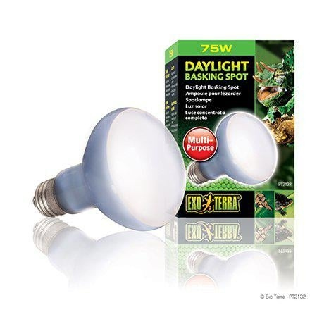 Exoterra Daylight Basking Spot 75W R20 E27 Green - (220.2720) in the group HOME, HOUSEHOLD & GARDEN / Pet Accessories / Accessories for terrariums at TP E-commerce Nordic AB (D03859)