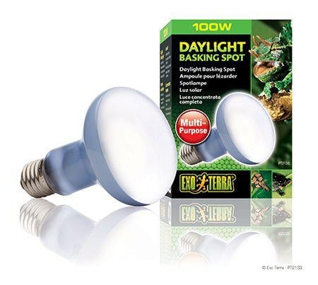 Exoterra Daylight Basking Spot 100W R25 E27 Green - (220.2730) in the group HOME, HOUSEHOLD & GARDEN / Pet Accessories / Accessories for terrariums at TP E-commerce Nordic AB (D03860)