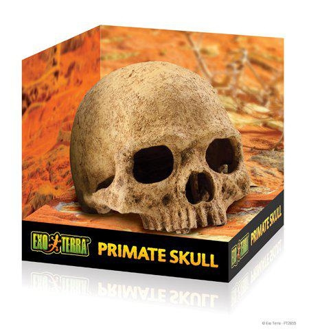 Exoterra Cave Skull - (222.2055) in the group HOME, HOUSEHOLD & GARDEN / Pet Accessories / Accessories for terrariums at TP E-commerce Nordic AB (D03862)