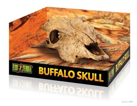 Exoterra Cave Buffalo Skull - (222.2057) in the group HOME, HOUSEHOLD & GARDEN / Pet Accessories / Accessories for terrariums at TP E-commerce Nordic AB (D03863)