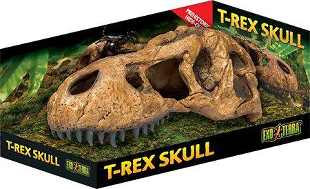 Exoterra Cave T Rex Skull - (222.2059) in the group HOME, HOUSEHOLD & GARDEN / Pet Accessories / Accessories for terrariums at TP E-commerce Nordic AB (D03864)