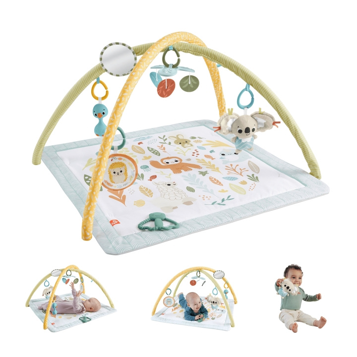 Fisher-Price Fisher Price Newborn – Simply Senses newborn Gym (HRB15) in the group TOYS, KIDS & BABY PRODUCTS / Baby toys / Activity toys at TP E-commerce Nordic AB (D04186)