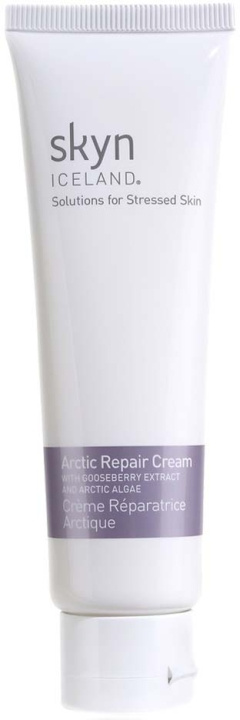 SKYN ICELAND Arctic Repair Cream 59 ml in the group BEAUTY & HEALTH / Skin care / Face / Day cream at TP E-commerce Nordic AB (D04242)