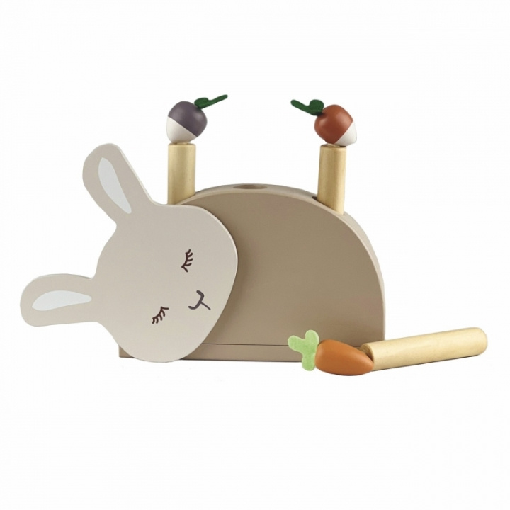 Egmont Toys Pop-Up Rabbit - (511134) in the group TOYS, KIDS & BABY PRODUCTS / Baby toys / Activity toys at TP E-commerce Nordic AB (D04338)