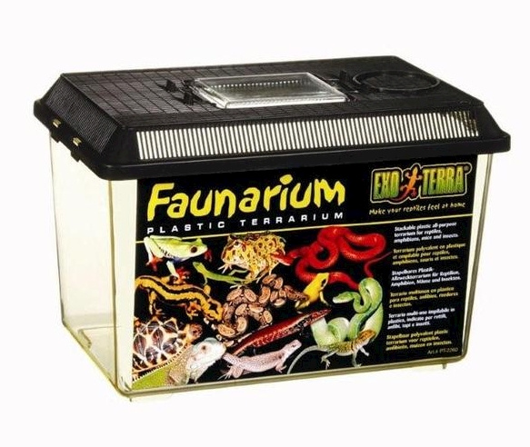 Exoterra Faunarium Medium Plastic Terrarium 30x19.5x20.5cm in the group HOME, HOUSEHOLD & GARDEN / Pet Accessories / Accessories for terrariums at TP E-commerce Nordic AB (D04467)