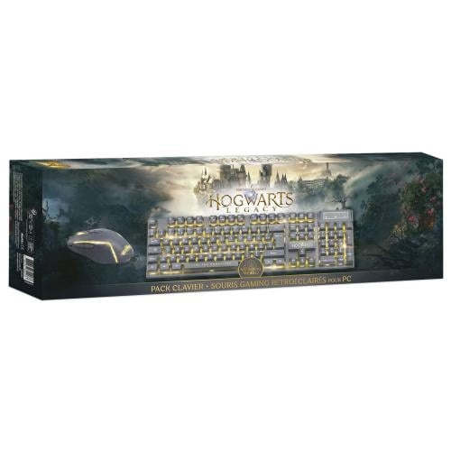 Trade Invaders Pack Keyboard + Mouse Harry Potter AZERTY (PS4 compatible) in the group COMPUTERS & PERIPHERALS / GAMING / Gaming accessories at TP E-commerce Nordic AB (D07256)