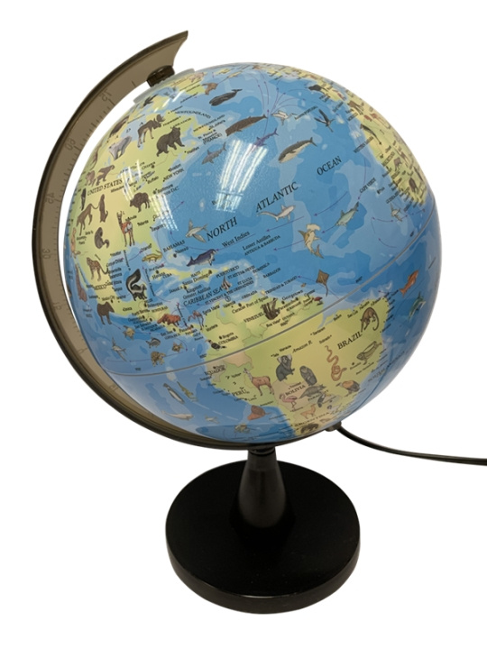 SCIENCE Globe with animals and light 20 cm (TY6190) in the group Sport, leisure & Hobby / Fun stuff / Fun stuff at TP E-commerce Nordic AB (D07263)