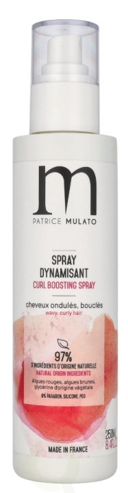 Patrice Mulato P. Mulato Energising Treatment Spray 250 ml in the group BEAUTY & HEALTH / Hair & Styling / Hair care / Conditioner spray/Leave-in at TP E-commerce Nordic AB (D08277)