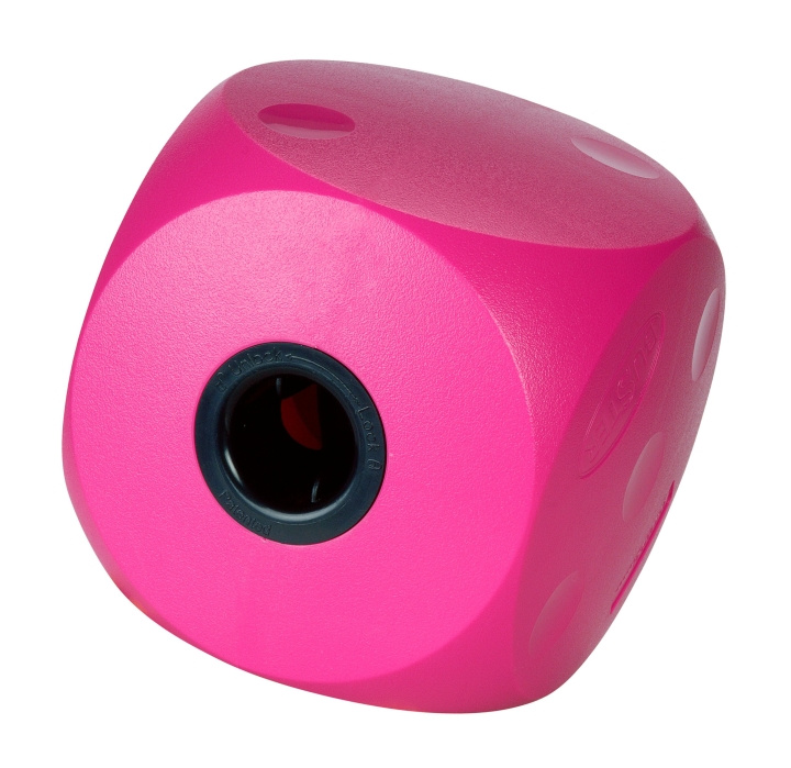 Buster Mini cube cherry - (274086) in the group HOME, HOUSEHOLD & GARDEN / Pet Accessories / Dog at TP E-commerce Nordic AB (D10708)